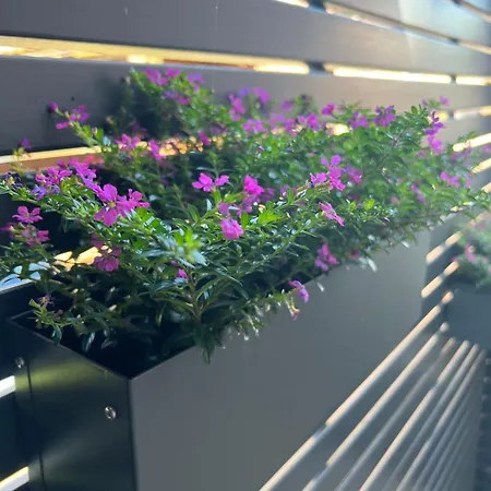 Ferienzimmer Olli Koch Apartmán