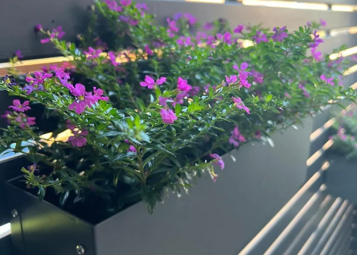 Ferienzimmer Olli Koch Apartamento